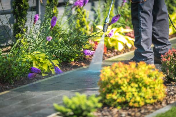 Reliable Jefferson, OR Pressure Washing Solutions
